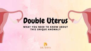 can you have 2 vaginas|Uterus Didelphys: Causes, Symptoms, Diagnosis & Treatment